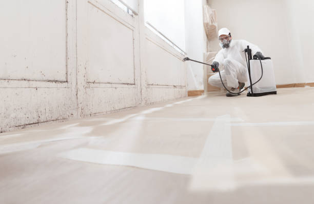 24/7 Emergency Attic Mold Removal experts in South Orange, NJ
